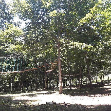 Albergue Mandoia Aterpetxea Аранцасу Экстерьер фото