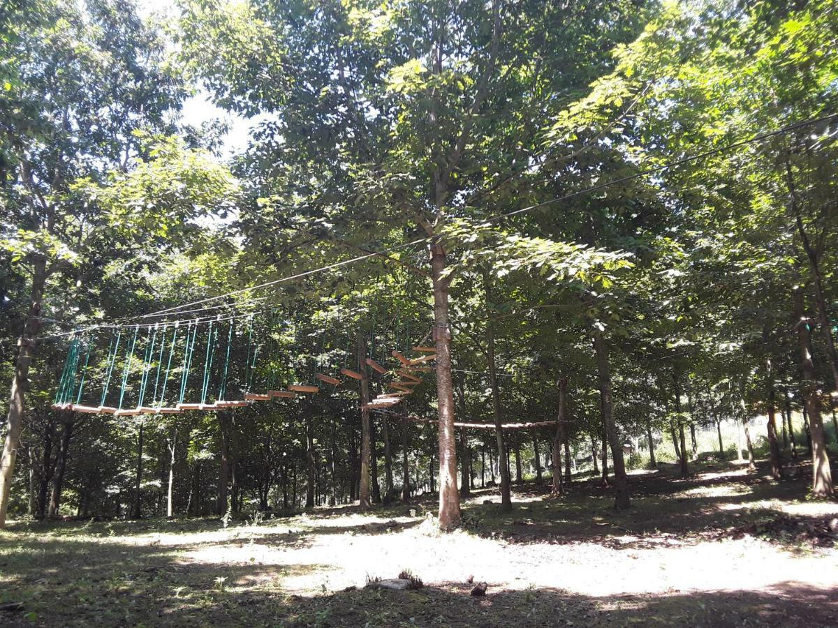 Albergue Mandoia Aterpetxea Аранцасу Экстерьер фото