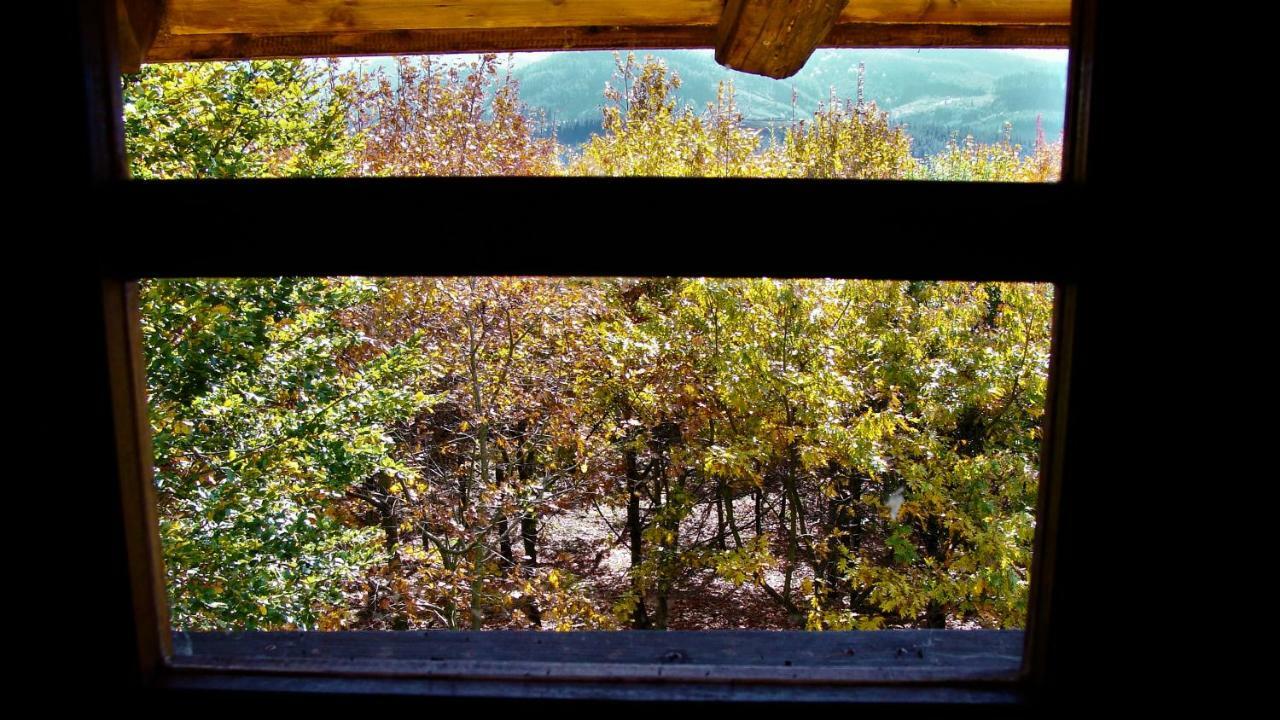 Albergue Mandoia Aterpetxea Аранцасу Экстерьер фото